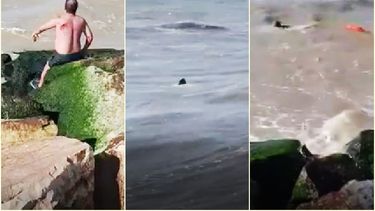 Tres momentos del rescate: el hombre herido que quiso ayudar, la mujer en el medio del mar y un guardavidas a toda velocidad que, por fortuna, le salvó la vida a la víctima.&nbsp;