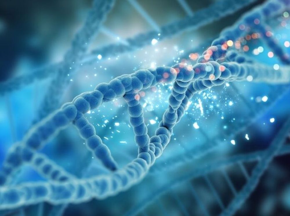 epigenetica-adn-paula-diaz