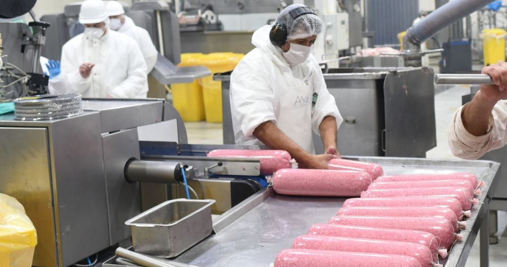 Senasa actualizó ingredientes y valores permitidos para la elaboración de chacinados.