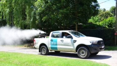 Operativos territoriales para eliminar la presencia del mosquitos vector, Aedes albifasciatus.