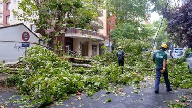 Desde temprano las cuadrillas trabajan para mitigar las consecuencias del temporal. (Municipalidad General Pueyrredon)