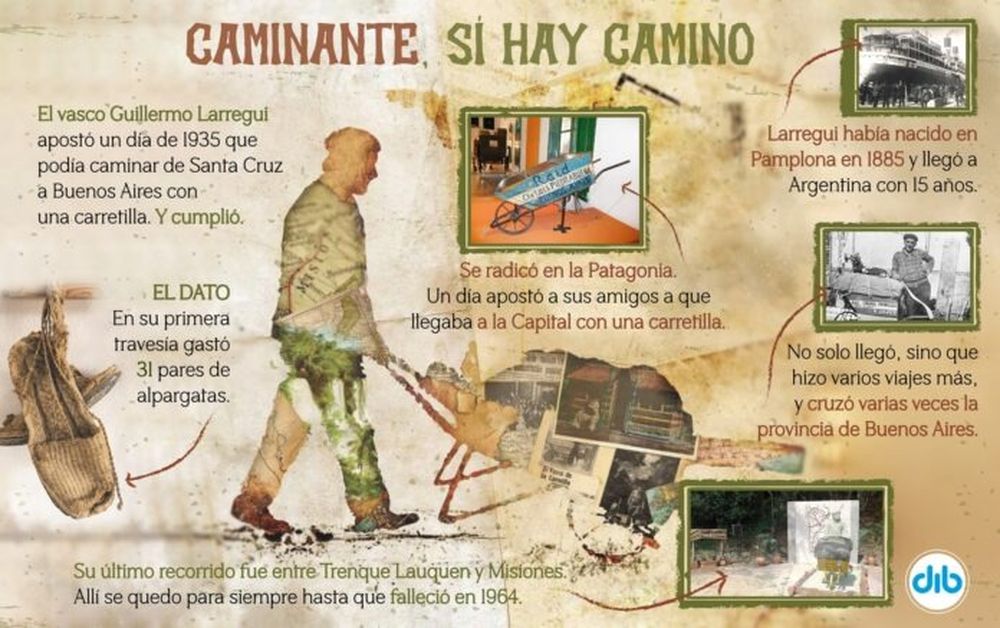 Infografía: DIB