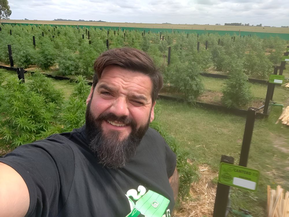 Ramiro Gopar trabaja para que Argentina no dependa siempre de insumos importados para el cultivo de cannabis﻿