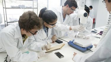 provincia destaca la figura del investigador en salud: produccion de conocimiento en el sistema sanitario