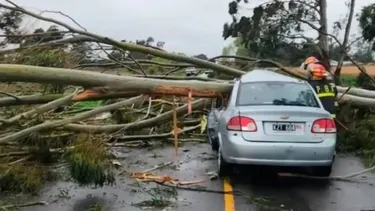 El acto impactado contra un árbol sobre la ruta 74.