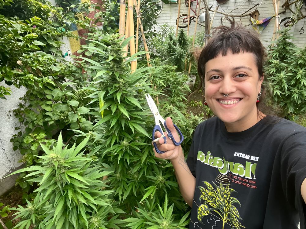 La industria del cannabis necesita previsibilidad financiera, reglas claras y estrategias de exportación, afirma Jimena Oviedo