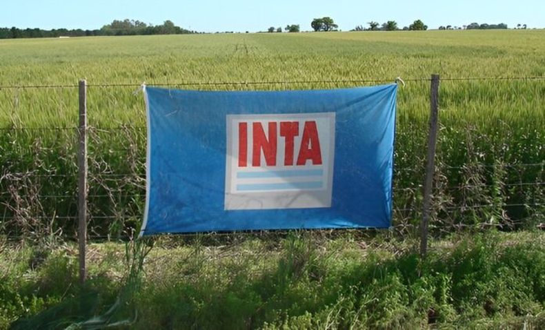 Novedades en el INTA.