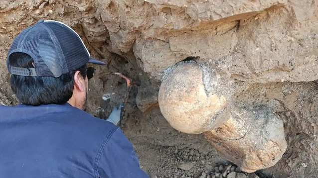 El fémur del perezoso fue hallado en los acantilados por dos turistas.