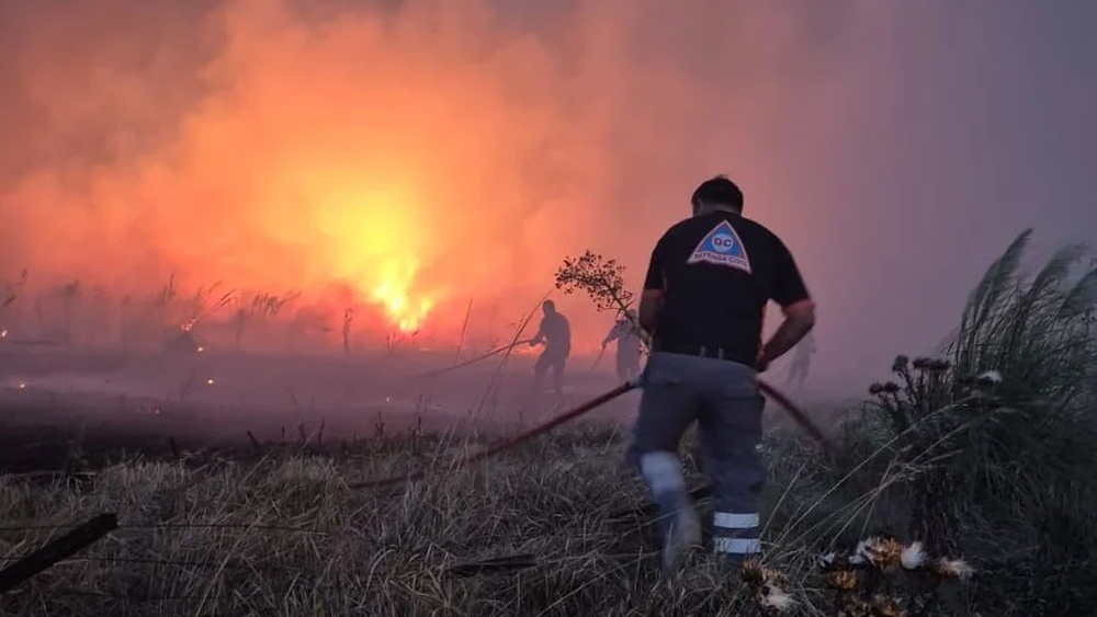 Mar del Plata: hay más de 200 hectáreas consumidas por incendios Mar del Plata: hay más de 200 hectáreas consumidas por incendios