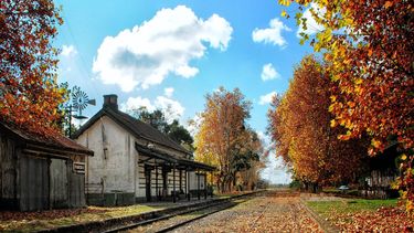 Los colores del otoño en la estación Pardo.
