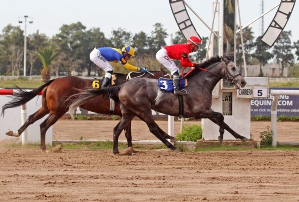 Novedades para el turf.