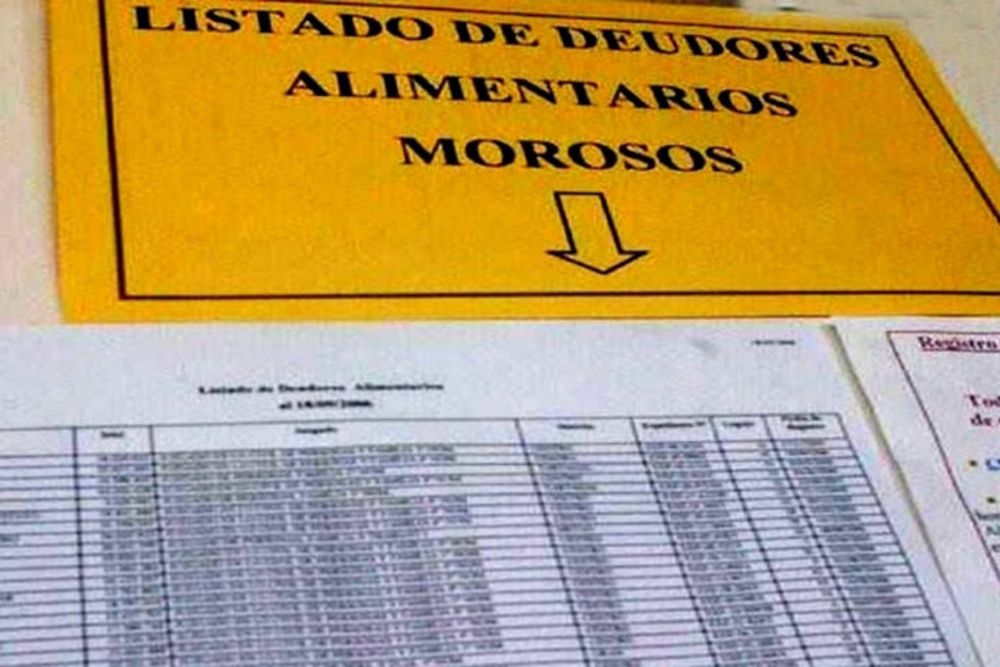 Registro de Deudores Alimentarios Morosos.