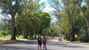 La actividad física reduce el riesgo de cáncer, de cardiopatías, favorece a la salud mental y el bienestar general.