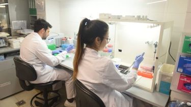 Con un análisis de orina y un mapeo del árbol genético del paciente, se puede realizar el diagnóstico.