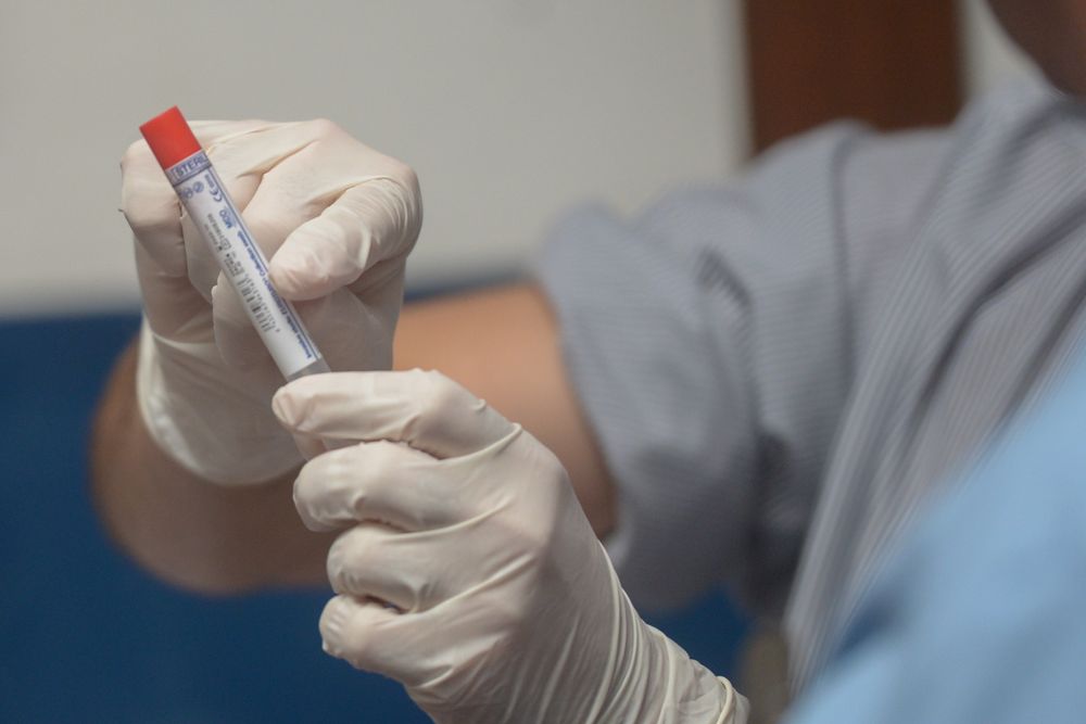 Las muestras de ADN son el material físico que contienen la información genética de un individuo.