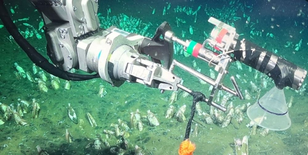 El robot submarino ROV SuBastian en acción.