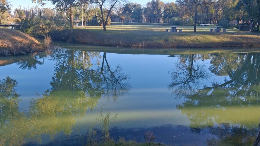 La laguna del Parque Municipal es uno de los espacios más concurridos por los vecinos de General Villegas La laguna del Parque Municipal es uno de los espacios más concurridos por los vecinos de General Villegas