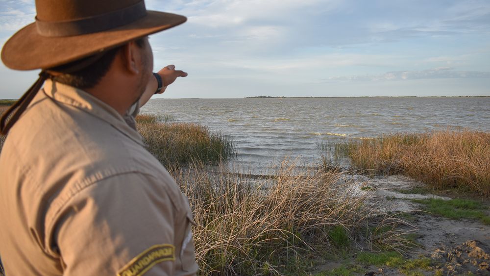 Áreas Naturales Protegidas bonaerenses: Laguna Salada Grande