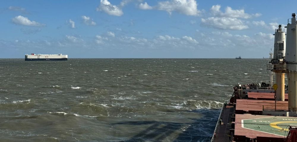 Imponente con sus 200 metros de eslora, el El BYD Changzhou llega a Zárate.