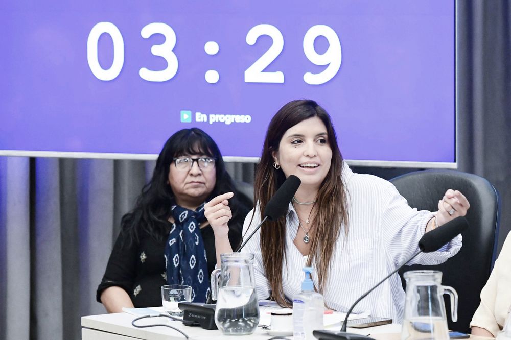 La ministra de Ambiente bonaerense, Daniela Vilar.&nbsp;