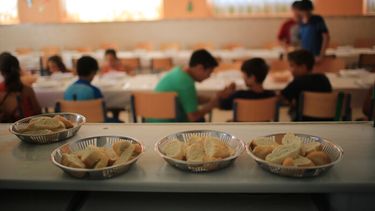 Nilos en un comedor.