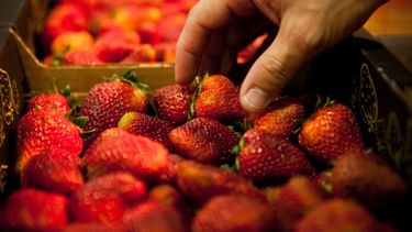 La frutilla es una fruta muy apreciada en Argentina.