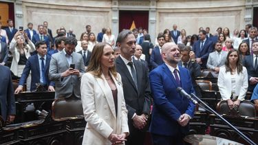 Juran diputados libertarios, entre ellos Sergio Tronco Figliuolo (centro).&nbsp;