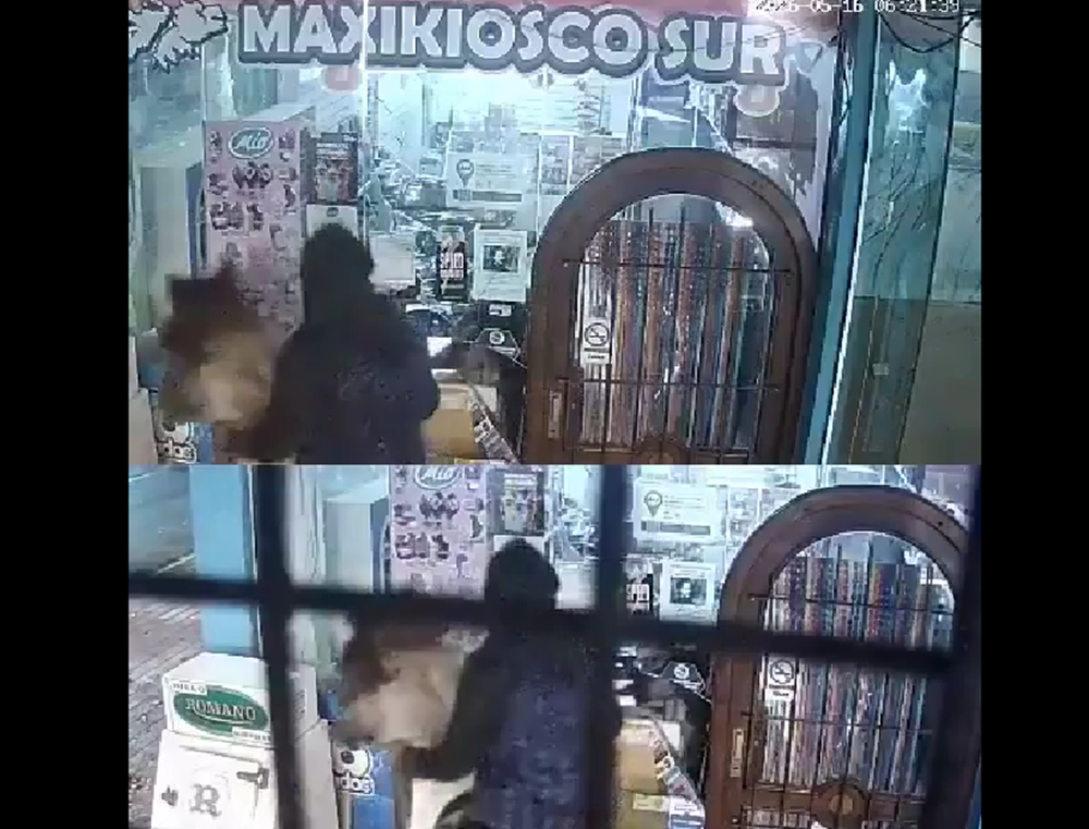 El video del robo se viralizó en redes sociales, por la modalidad insólita de los ladrones.&nbsp;