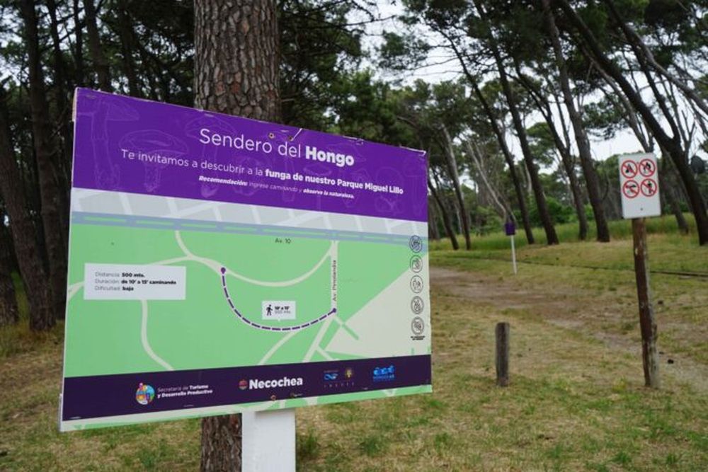 La entrada del “Sendero del Hongo”, en el parque necochense. (Municipalidad de Necochea)