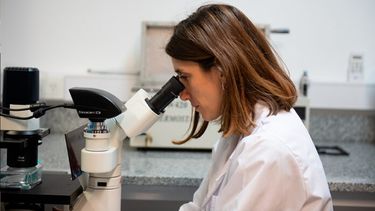 La bióloga Julieta Merlo fue distinguida con la beca LOréal Unesco Mujeres en la Ciencia. (CONICET)