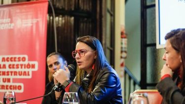 Las exministras de la Mujer respaldaron a Yañez, pero negaron que haya pedido ayuda en el Ministerio.