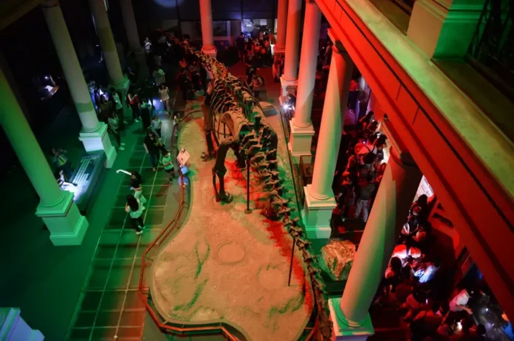 El Museo de Ciencias Naturales es uno de los más elegidos por los “visitantes nocturnos”. (0221)