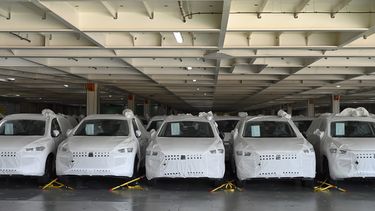 Los autos eléctricos e híbridos de la compañía china BYD que llegaron a Argentina el 20 de enero.