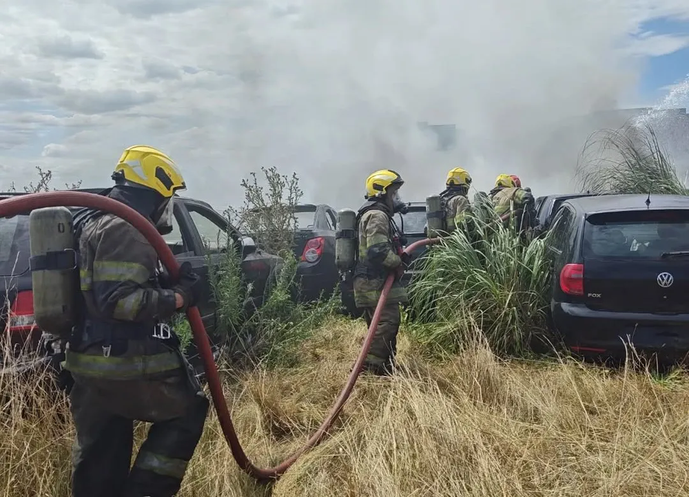 En el siniestro trabajaron nueve dotaciones de bomberos, tanto de Cañuelas como de Lobos.