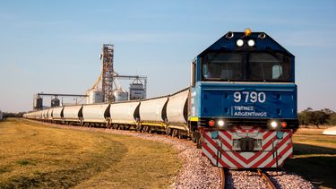 Una formación del Belgrano Cargas.&nbsp;