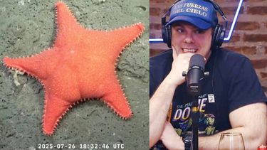 El Gordo Dan, derrotado por el streaming del Conicet.