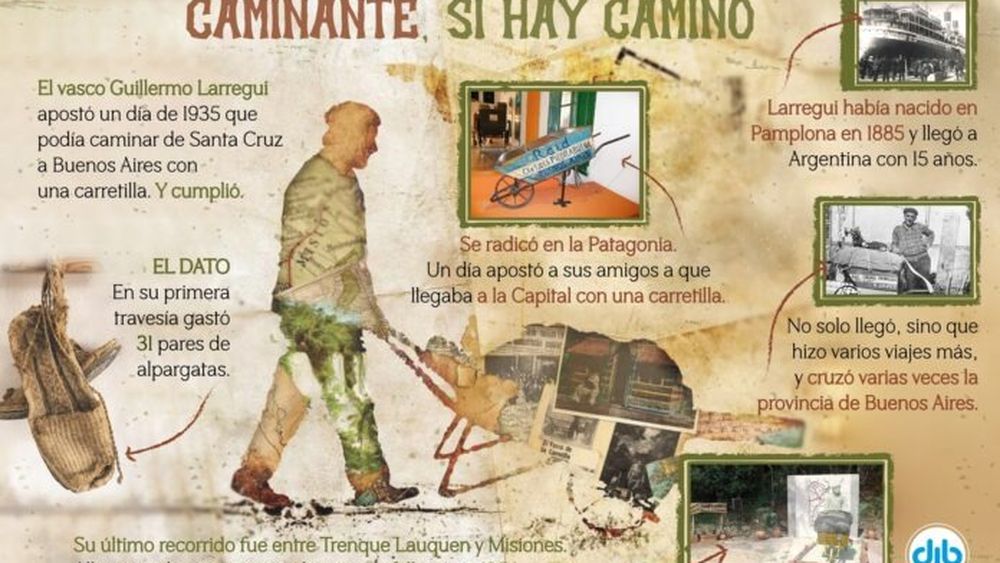 Infografía: DIB