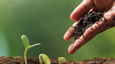 segundo congreso provincial de agroecologia: convocan a investigadores y productores a presentar trabajos