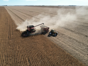 Máquinas trabajando en el campo. Máquinas trabajando en el campo.