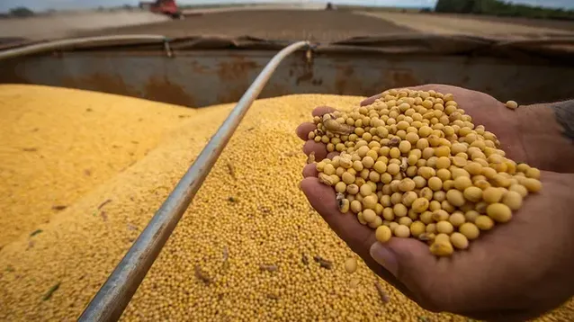 Las entidades del campo se manifestaron a través de un comunicado. - Agrofy -