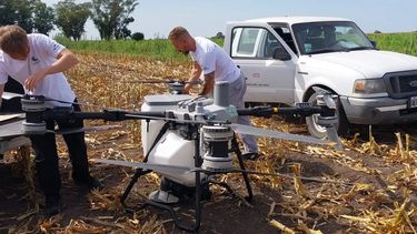 El INTA ve en la siembra aérea con drones una alternativa rápida y sustentable.