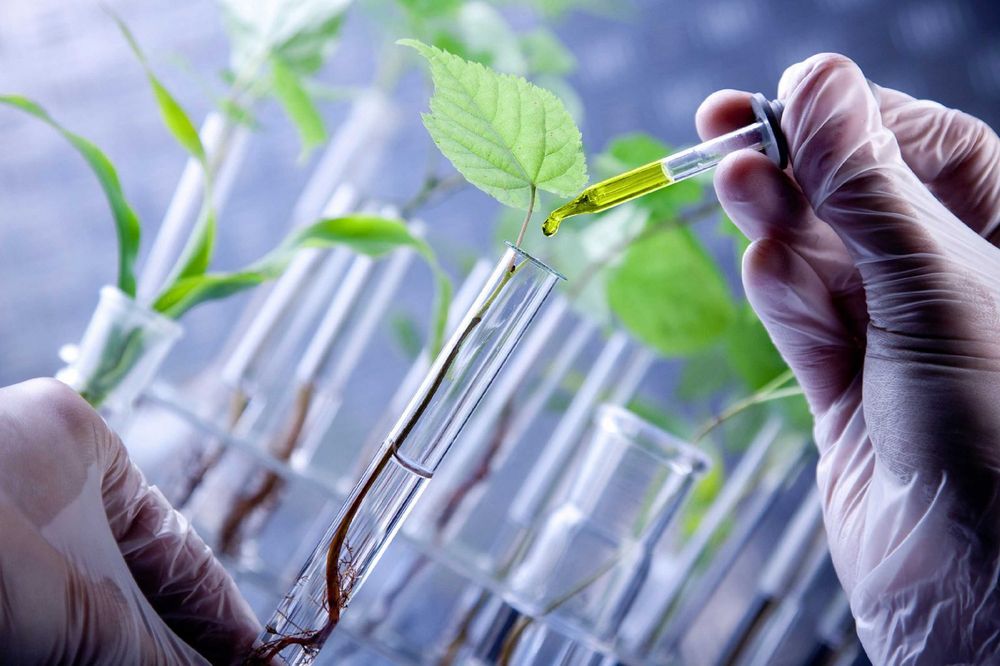 Buscan dsarrollar el sector biotecnológico en la Provincia.&nbsp;