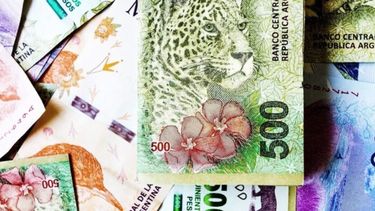 Las series de animales no formarán parte de los billetes de 10.000 y 20.000.