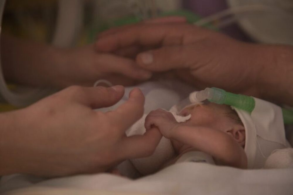 Un bebé recién nacido.
