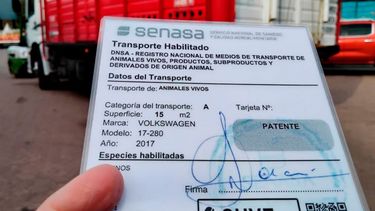 Nueva normativa para el transporte de animales vivos y productos de origen animal del Senasa.