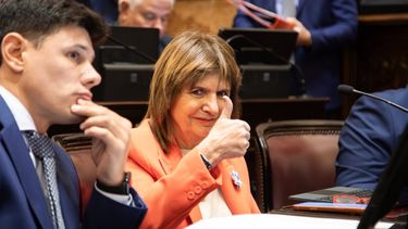Patricia Bullrich, la jefa de los senadores de La Libertad Avanza.&nbsp;