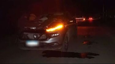 La camioneta Fiat Toro que embistió a un carrito que era arrastrado por dos personas. - El Día -