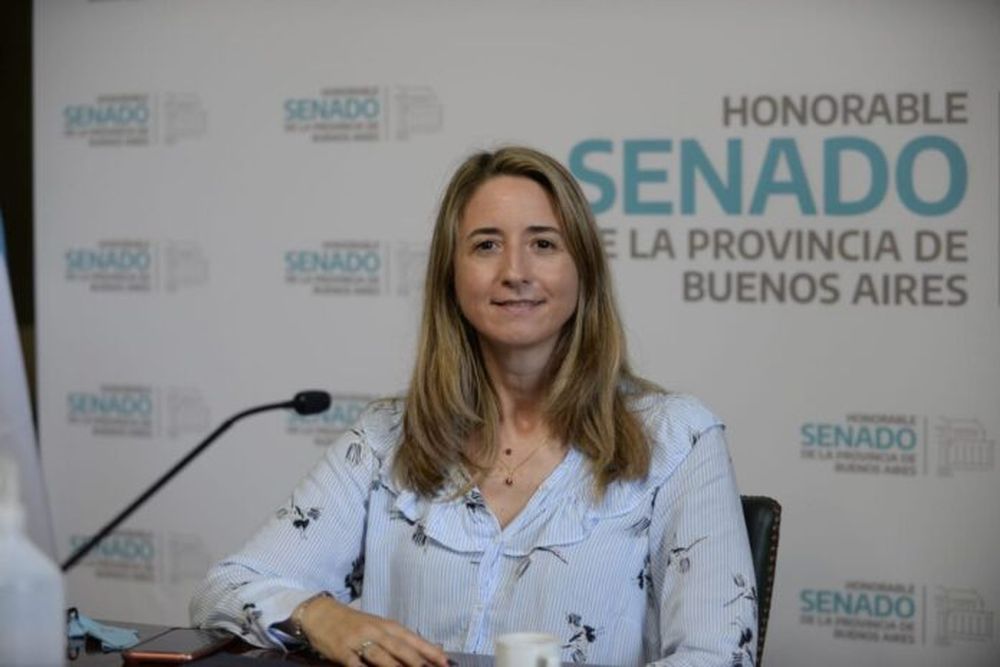 La senadora de Juntos por el Cambio (JxC) Flavia Delmonte.
