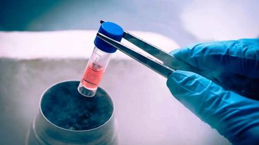 El semen puede ser congelado para el futuro.