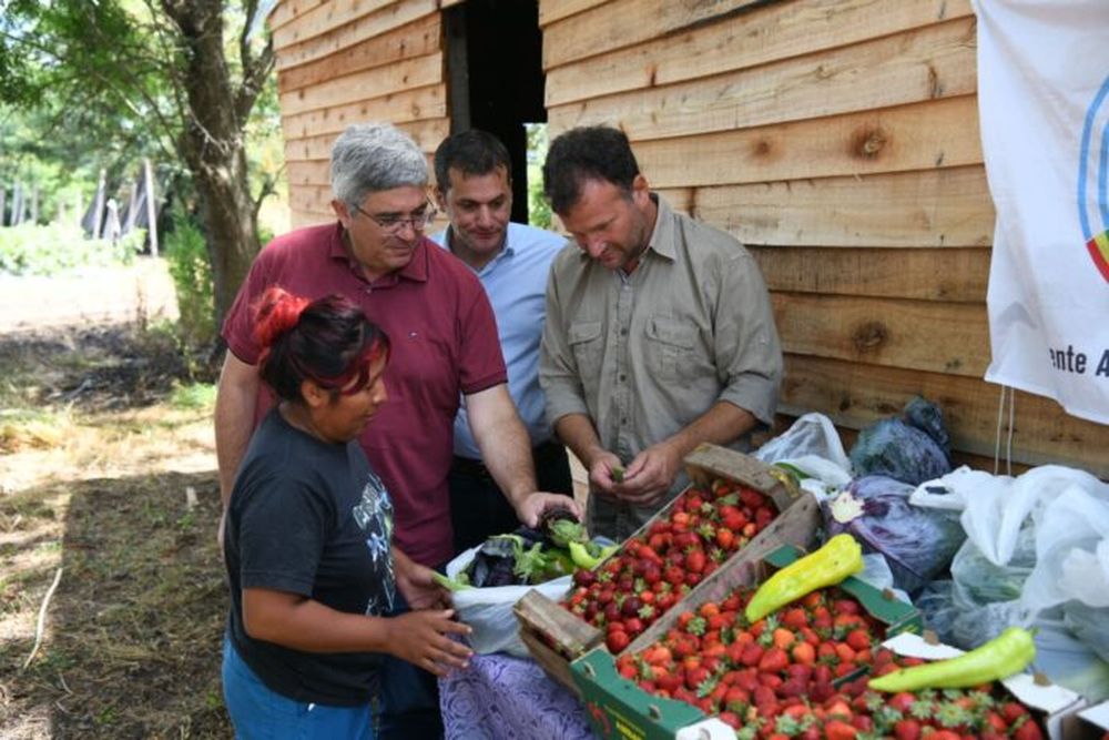 El ministro Javier Rodríguez durante su recorrido por grupos de trabajo de agricultores familiares. (MDA)